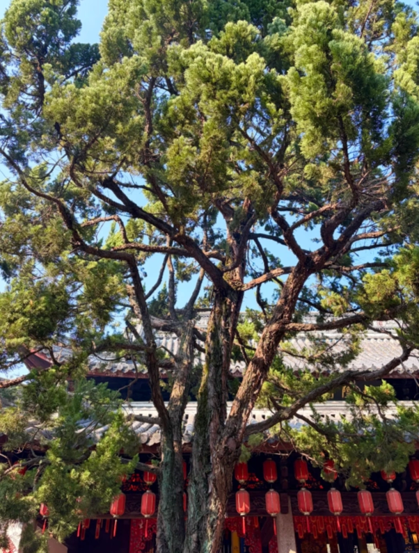 Photo of Qiuxiapu Garden: Qiuxiapu opening hours