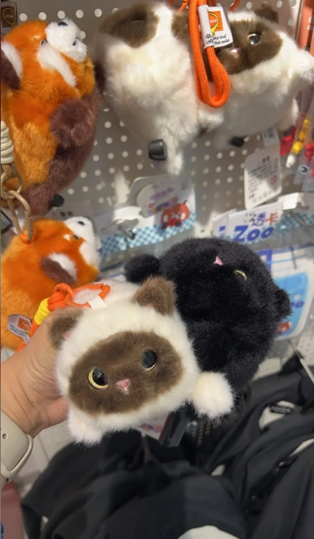 park gift shops