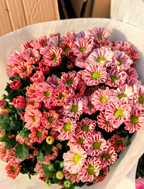 What to Buy at Beijing International Flower Port: Essential Shopping List