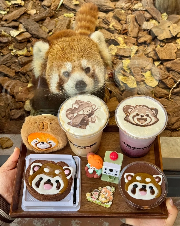 gifts at Beijing Wildlife Park gifts at Beijing Wildlife Park