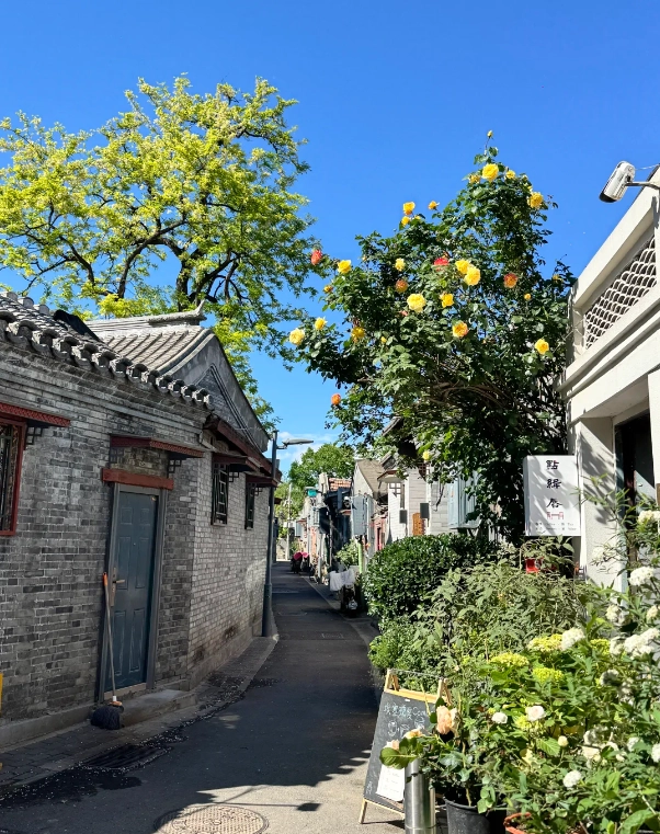 Beijing must see