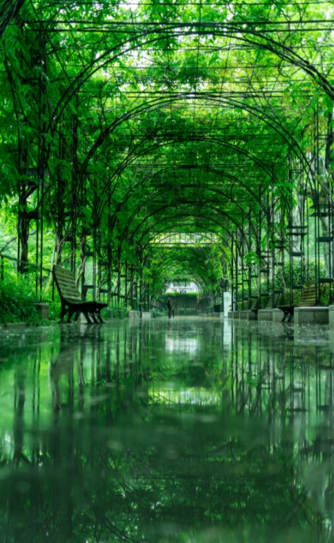 Shanghai hidden gems Shanghai hidden gems