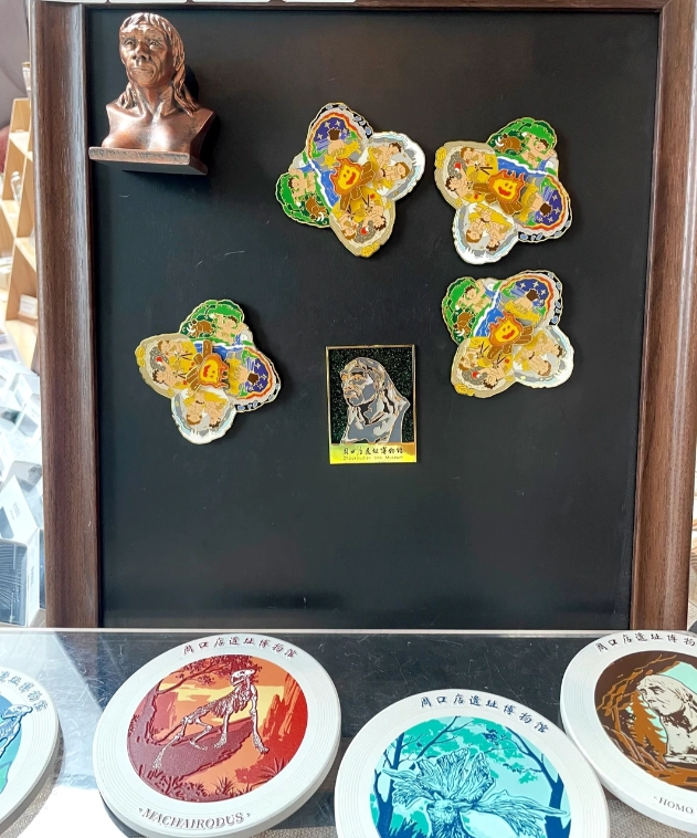 buy fossils replicas buy fossils replicas