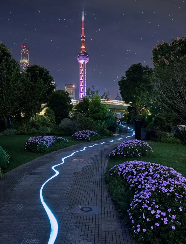 Best Time to Travel to Shanghai: A Seasonal Guide