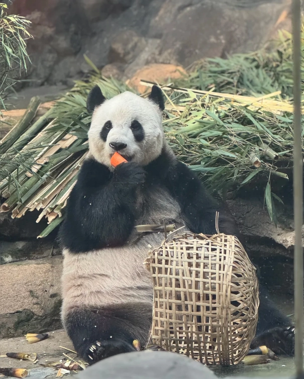 family friendly Beijing family friendly Beijing