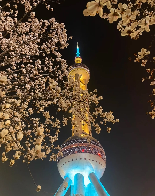 Shanghai travel guide