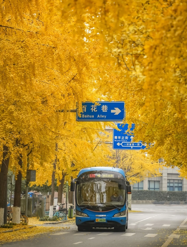 Chengdu food festival timing