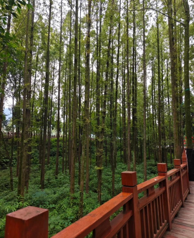 Dujiangyan travel guide