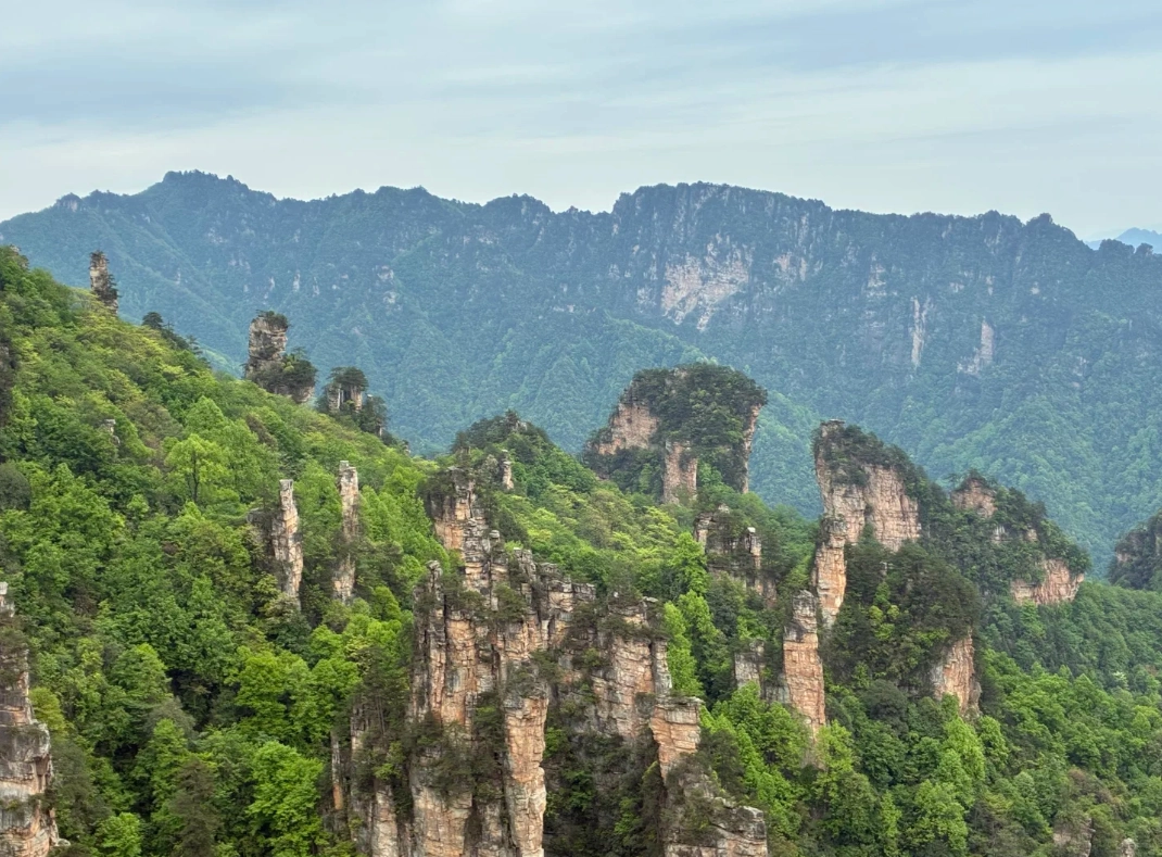 Photo of Zhangjiajie National Forest Park: Avatar Mountains