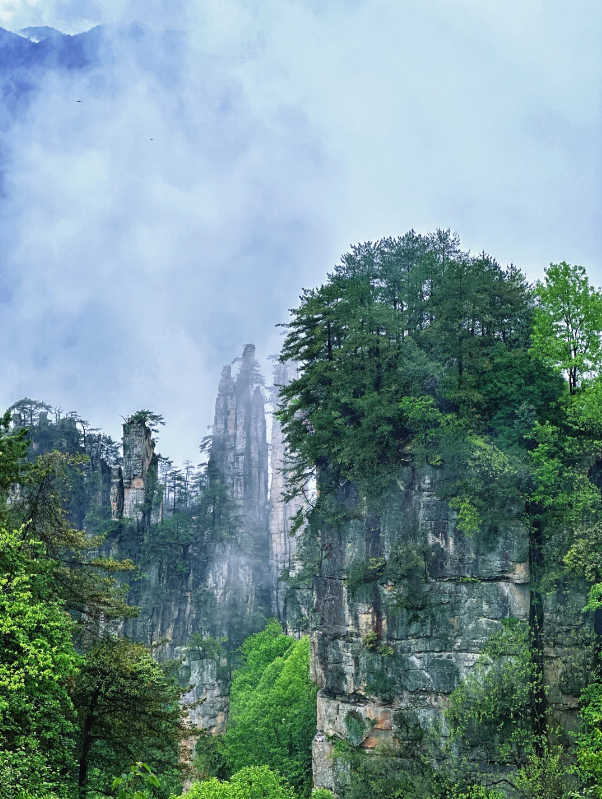 Zhangjiajie National Forest Park