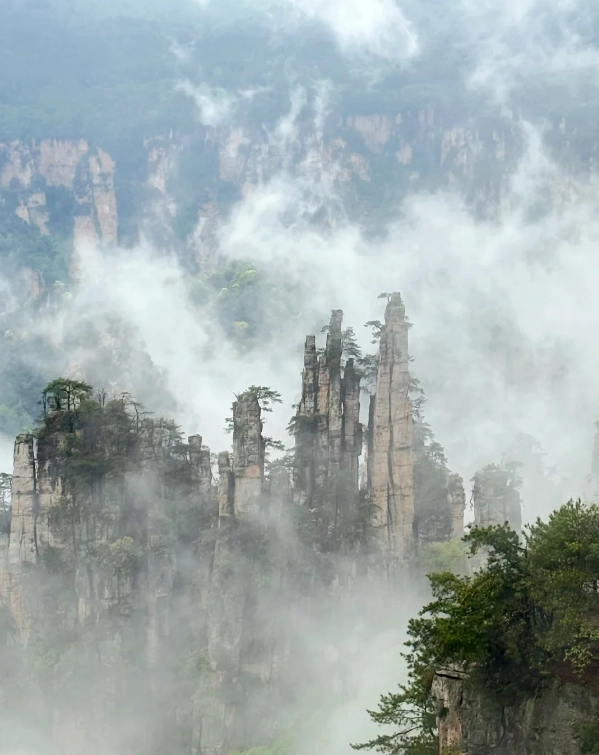 Photo of Zhangjiajie National Forest Park: Zhangjiajie National Forest Park