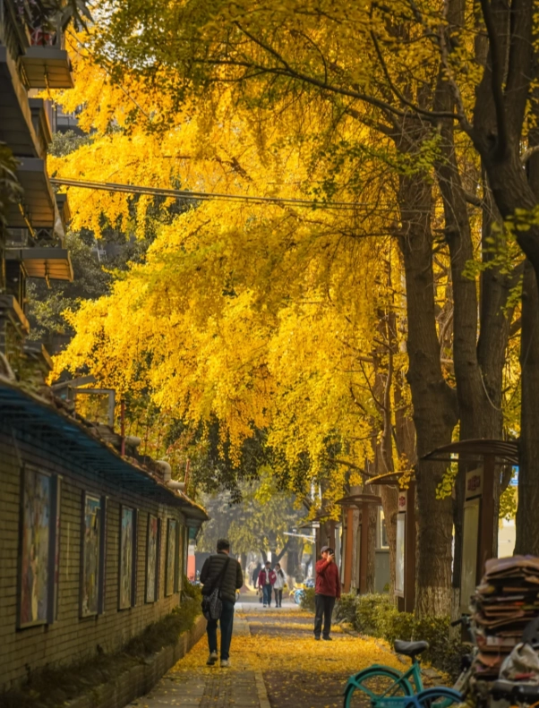 Chengdu weather guide