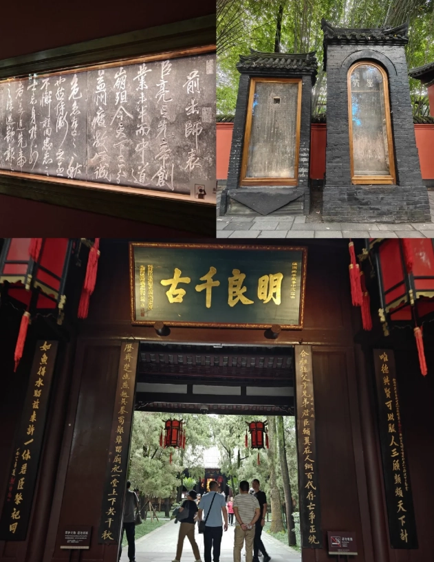 Chengdu panda tour Chengdu panda tour