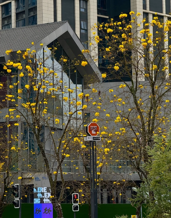 Chengdu weather guide
