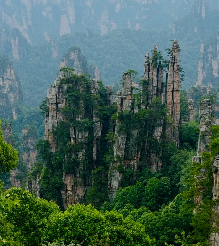 Photo of Zhangjiajie National Forest Park: Zhangjiajie National Forest Park