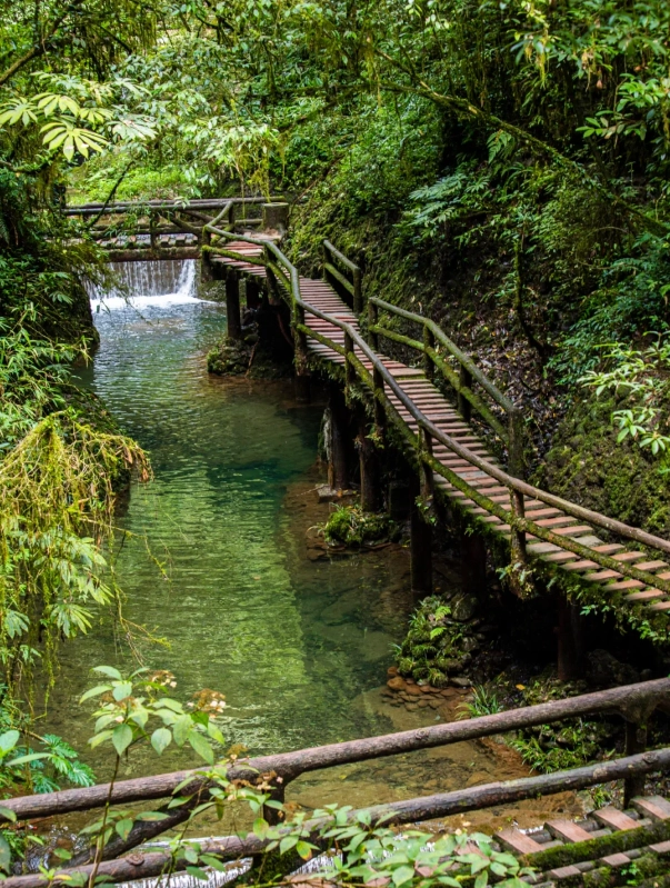 Photo of Mount Qingcheng: Qingcheng Mountain hiking