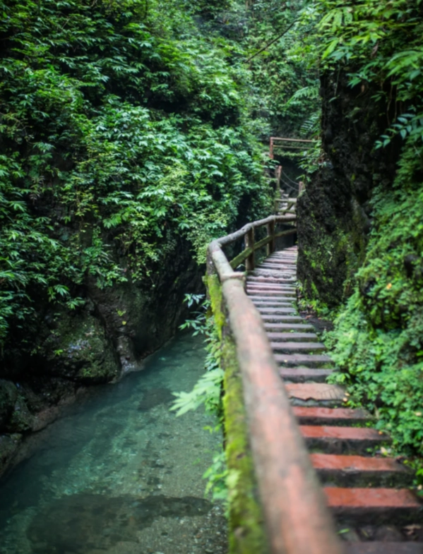 Photo of Mount Qingcheng: Chengdu day trip