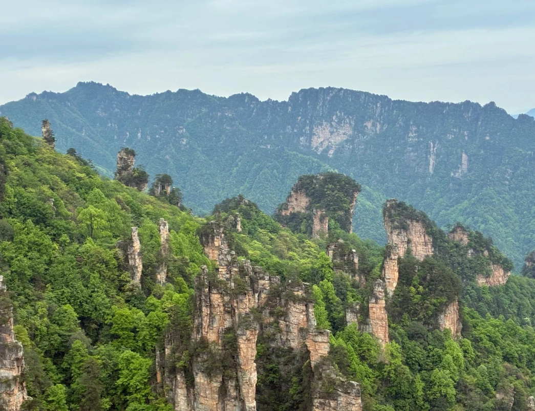 Zhangjiajie 5-Day Itinerary: Scenic Views & Local Tips