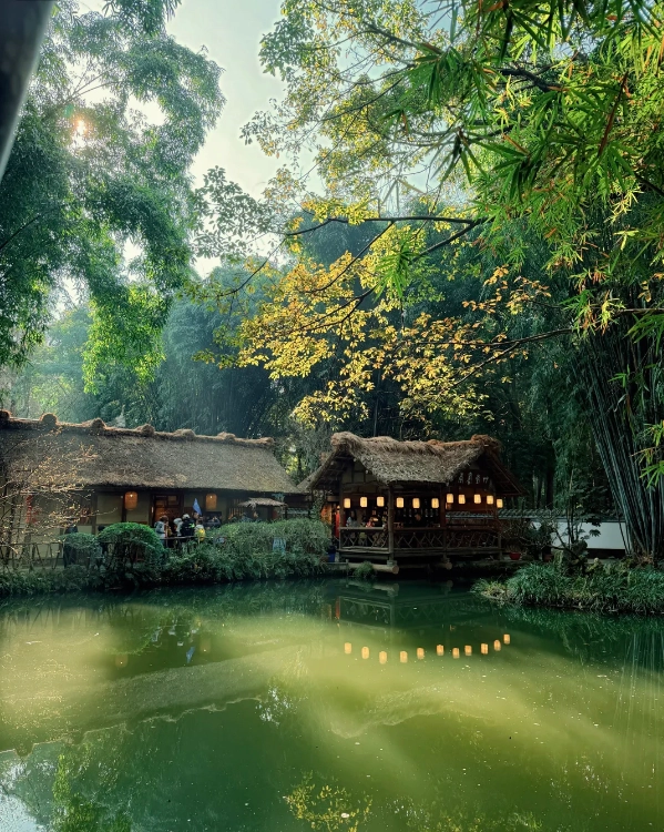 Chengdu Best Time to Visit: A Season-by-Season Guide from a Local Guide