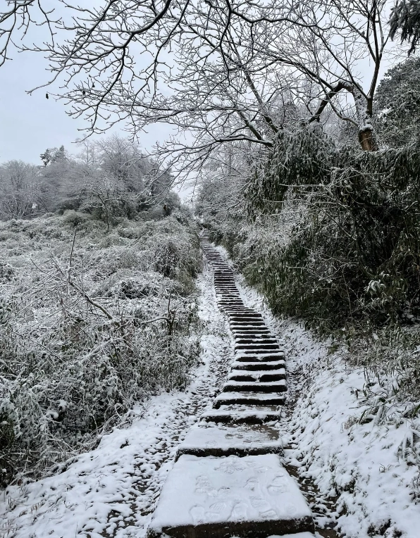 when to go to Chengdu