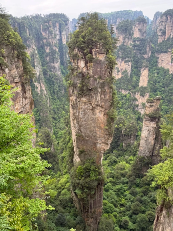 Zhangjiajie Must-See Attractions: Local Guide's Top Picks and Tips