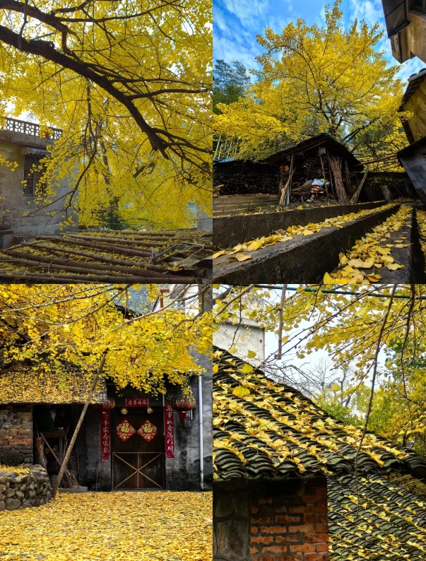 Guilin travel season