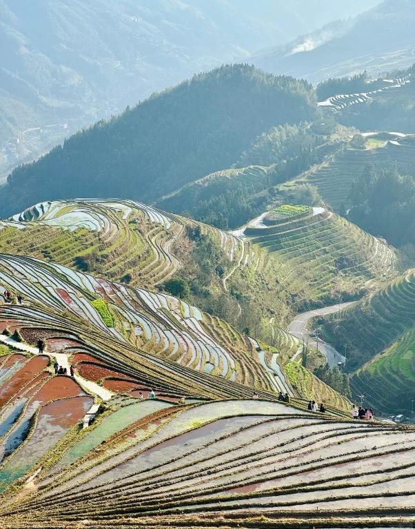 Travel photos of Guilin: Jinkeng Terraces