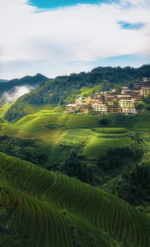 Travel photos of Guilin: Longji Rice Terraces