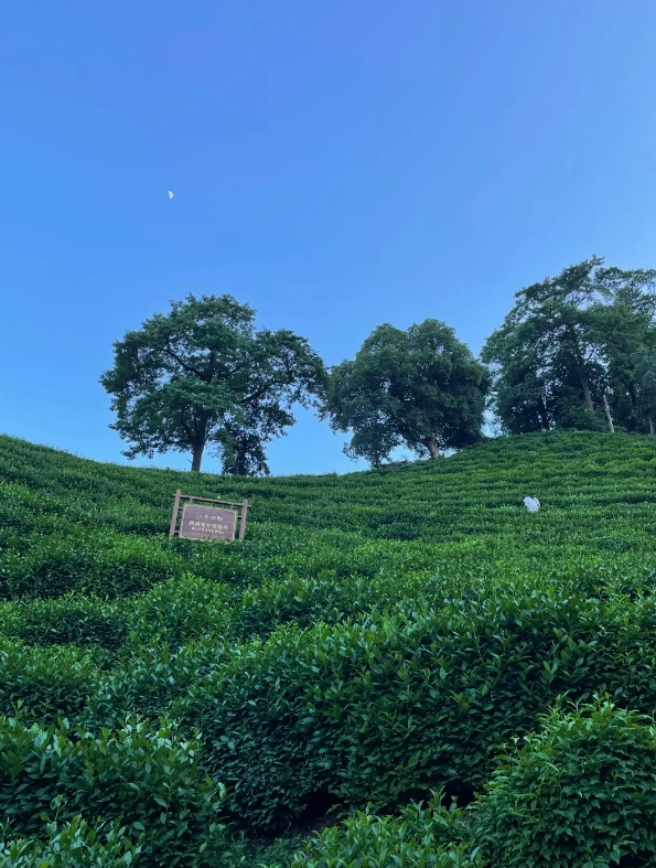 Hangzhou top attractions