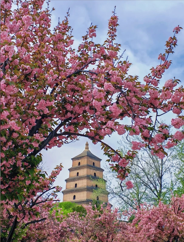 Best Season to Visit Xi'an: Avoid Crowds & Extreme Weather