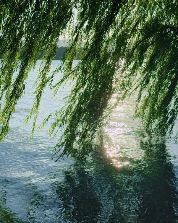 Photo of West Lake: 5 Days in Hangzhou