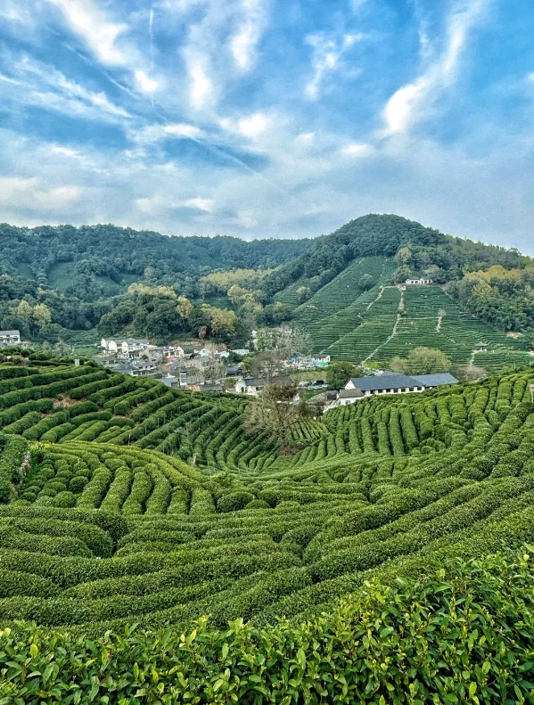 Travel photos of Hangzhou: Hangzhou itinerary