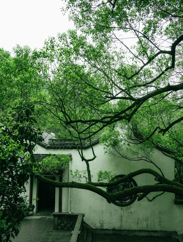 Photo of West Lake: West Lake travel