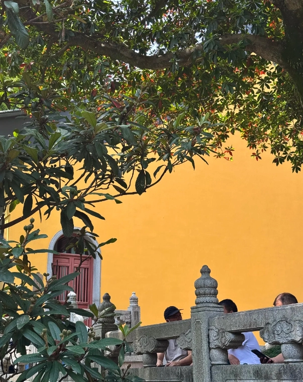 Photo of Lingyin Temple: Feilai Feng