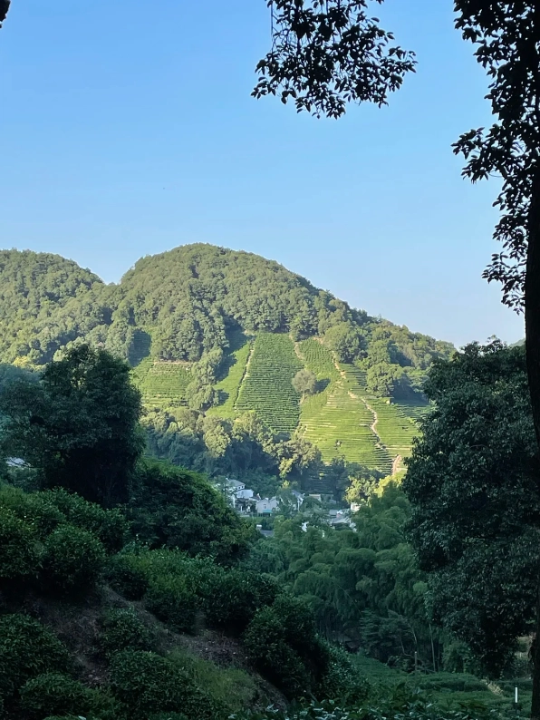 Travel photos of Hangzhou: things to do in Hangzhou