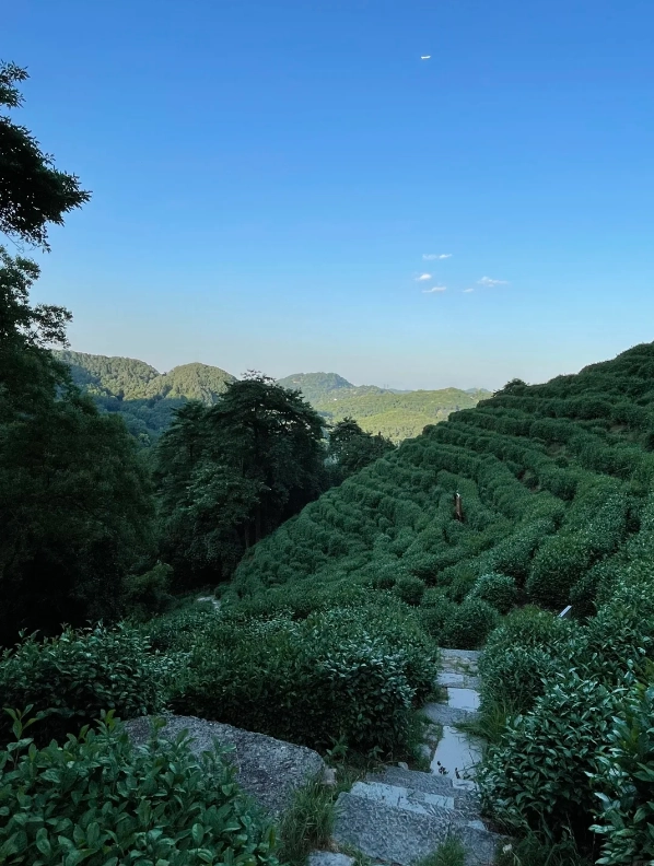 Hangzhou itinerary Hangzhou itinerary