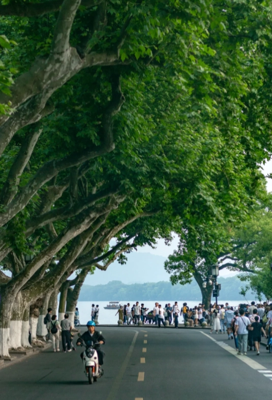 best season for Hangzhou best season for Hangzhou