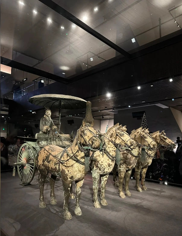 Xi'an Must-Visit Places: A Local's Guide for First-Timers
