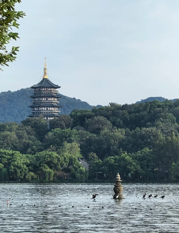 Hangzhou Tour Route: Skip Crowds, Maximize Views