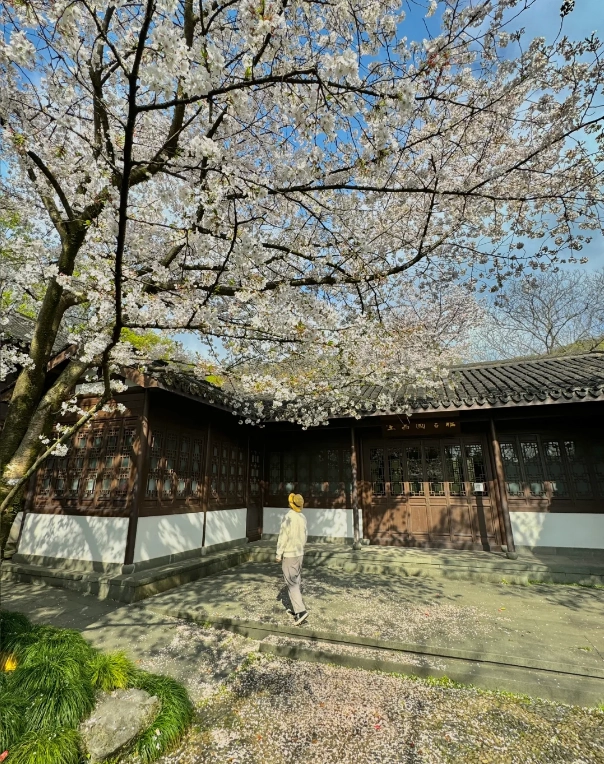 Hangzhou weather guide Hangzhou weather guide