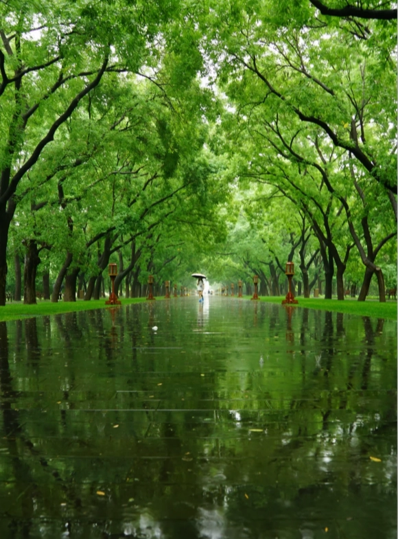 Best Time to Visit Beijing: Spring & Autumn Travel Guide