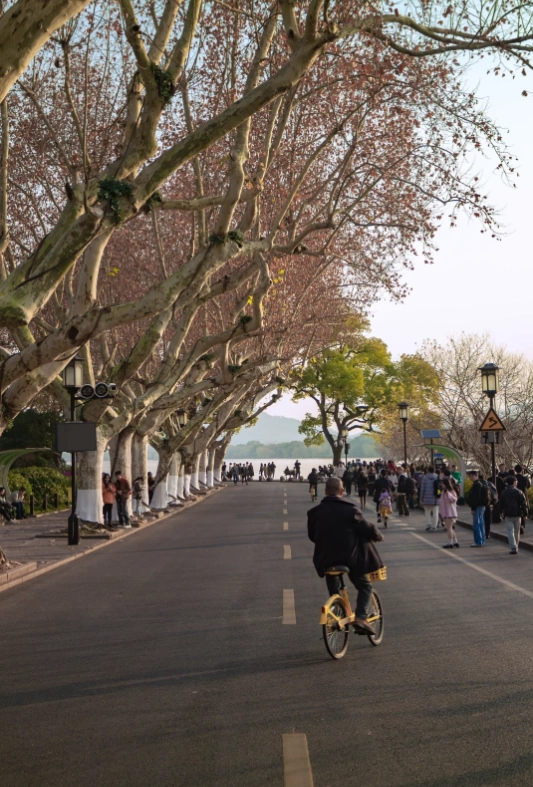 Hangzhou travel season Hangzhou travel season