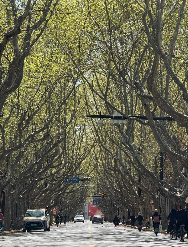 when not to visit Shanghai when not to visit Shanghai