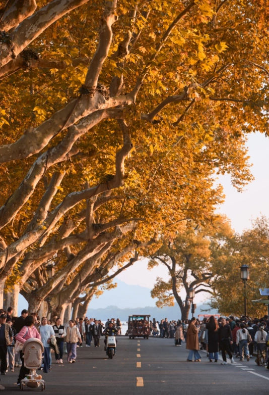 visiting Hangzhou tips visiting Hangzhou tips