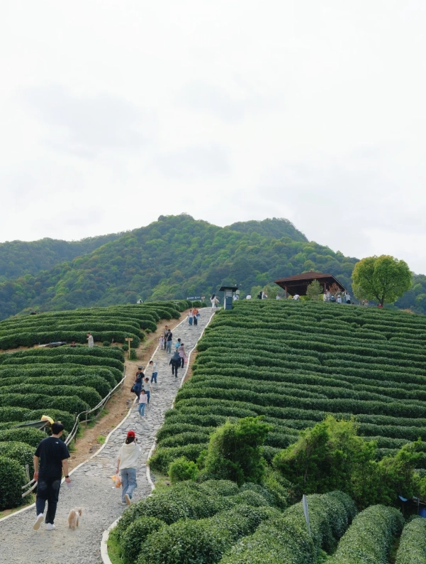 West Lake travel