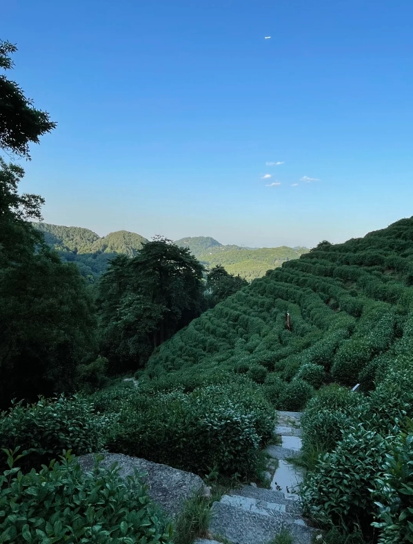 Zhejiang tourism