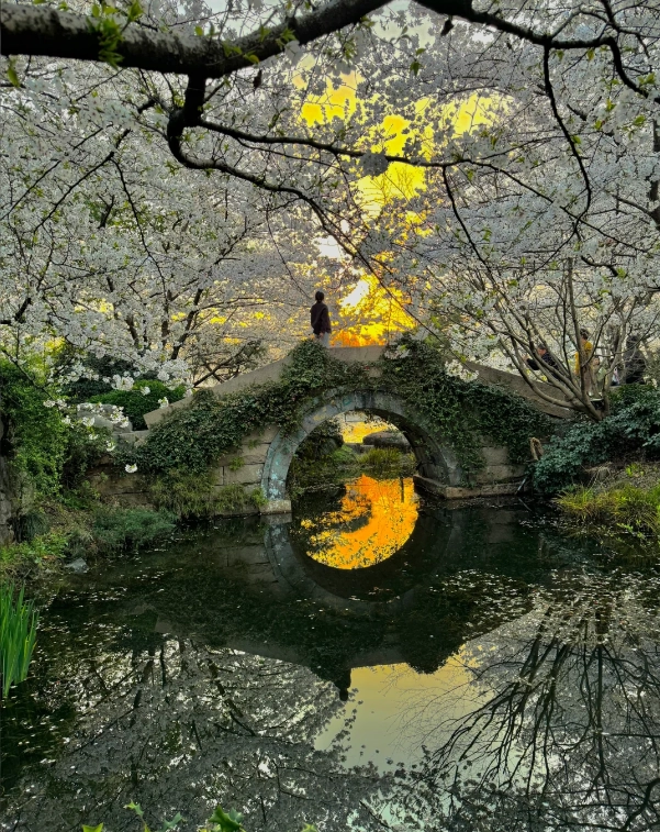 best season for Hangzhou best season for Hangzhou