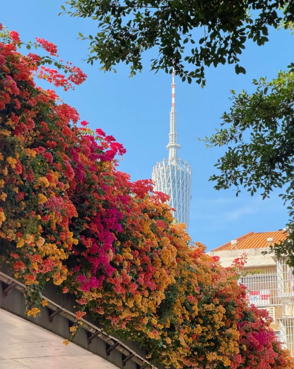 Best Season to Visit Guangzhou: Beat the Heat & See the City at Its Best