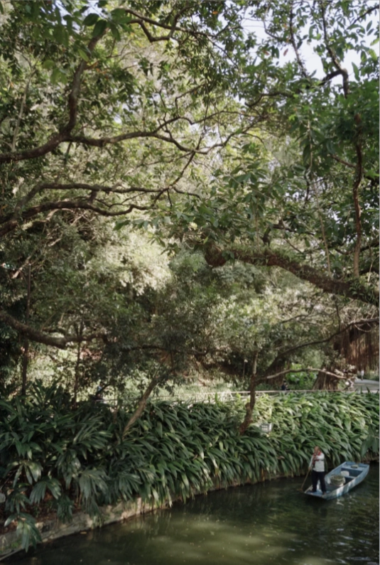 Yuexiu Park