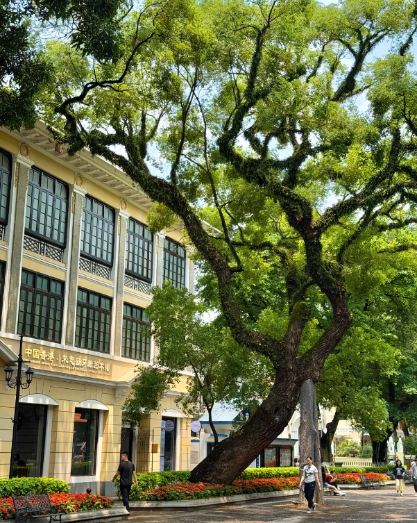 Guangzhou transit guide